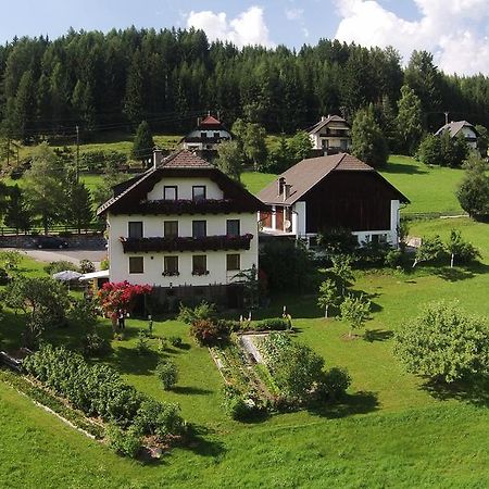 Haus Pfarrkirchner Apartment Mauterndorf  Ngoại thất bức ảnh